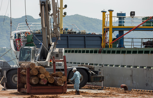 목재 수출 사업