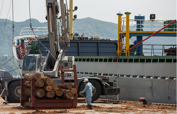 목재 수출 사업