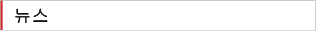 뉴스